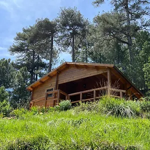 https://cabaa-garrote-gordo.es-andalucia.com